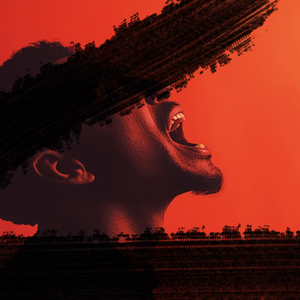 Голос как оружие