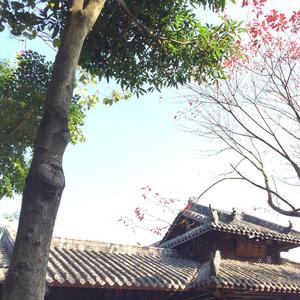 颂 · 山之音