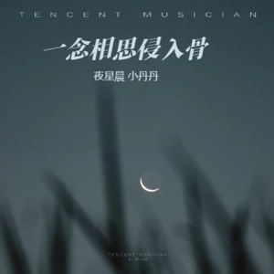 一念相思侵入骨（女版）