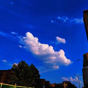 释怀（PROD BY MEGA）