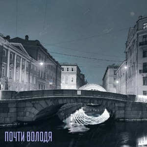 Хризантемы