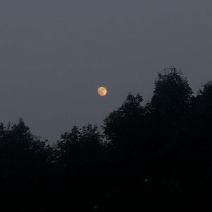 就让我在春风沉醉的夜晚老去