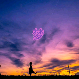梦