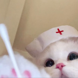 Love Is An Open Door (Sped up)