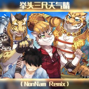举头三尺天气晴(NonNam Remix)