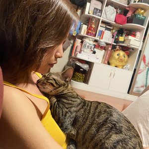 如愿-火听姑姑.wav