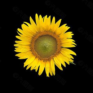 有没有人告诉你我很爱你（钢琴版）（翻自 楚生）