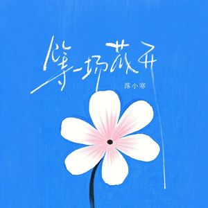 等一场花开 伴奏