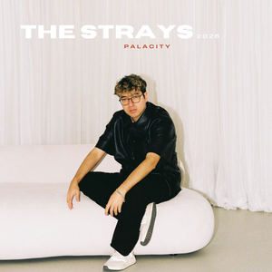 The Strays (2026 Version)