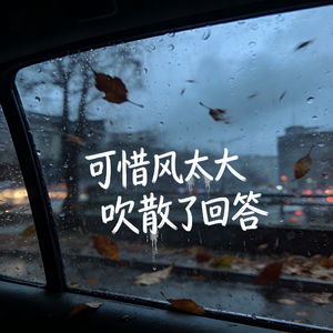 可惜风太大 吹散了回答