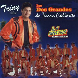 Quisiera Ser Pajarillo