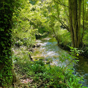 Fix Bad Habits Affirmations