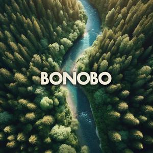 Bonobo
