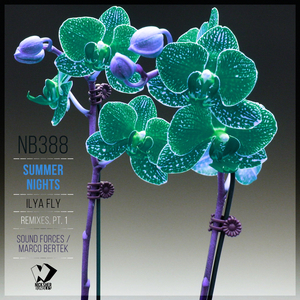 Summer Nights (Sound Forces Remix)