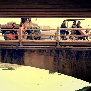 南方秋天的聚会