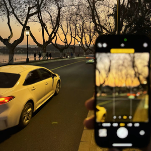 繁花（翻自 董贞）