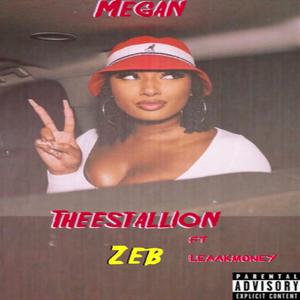 MEGAN THEESTALLION (feat. Leaakmoney)