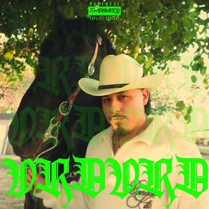 F**K A CITY BOY (feat. Bravo the Bagchaser)