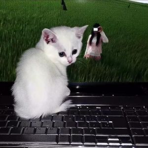 [Free] UK Garage "随身听" 吉他 网感 连麻 type beat