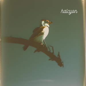 Halycon