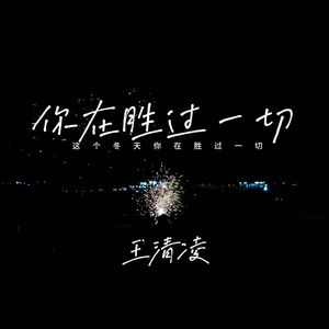这个冬天你在胜过一切