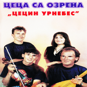 VOljela sam školu, drugove i pjesmu