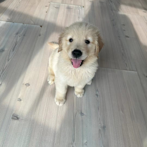 我负责你的兴致