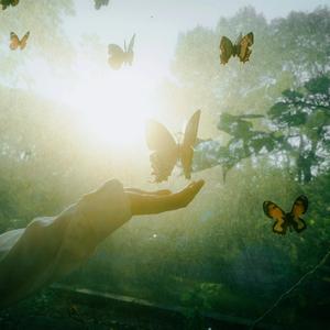 爱着你像心跳难触摸