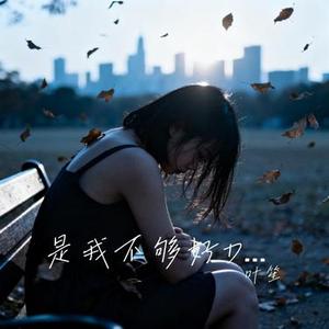 是我不够好DJ (Cover 李毓芬)