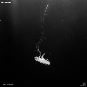 Summer 伴奏