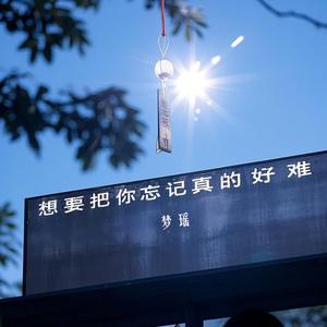 想要把你忘记真的好难