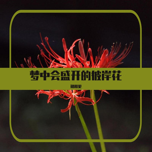 梦中会盛开的彼岸花