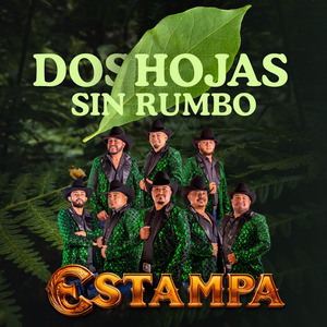 Dos Hojas Sin Rumbo