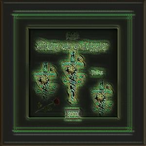 Gorgeous(完美无瑕)