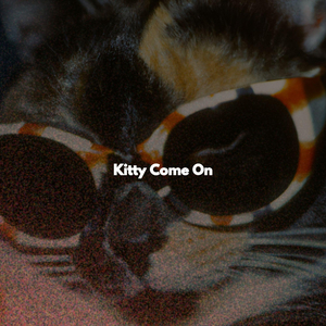 Friendly (Solo Holidays)