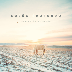 Descansando Como Si No Hubiera Un Mañana