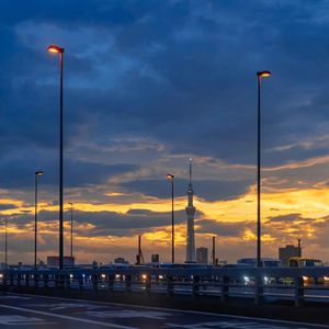 你就不要想起我