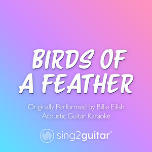 BIRDS OF A FEATHER (Originally Performed by Billie Eilish) (Acoustic Guitar Karaoke)