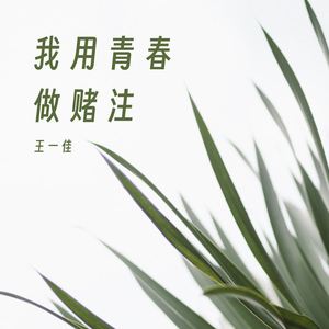 我用青春做赌注