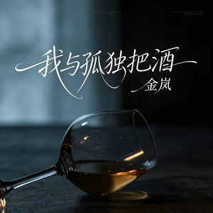我与孤独把酒
