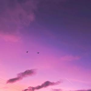 letters from my dreams