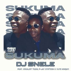 SUKUMA (feat. VOCALIST TE.EM, P-JAY CYN'TESH & VUYO MNQAYI)