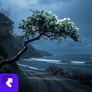 看到无尽风沙 (现场)