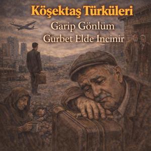 Garip Gönlüm Gurbet Elde İncinir