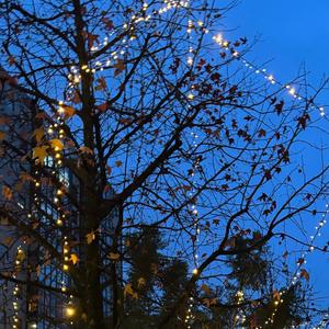 stayed (December 06th 2025, piano live)