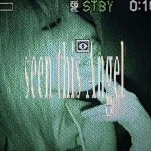 S33N 7H1S 4NG3L?