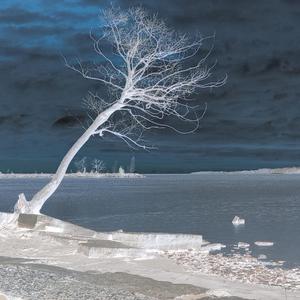 i want all of you...