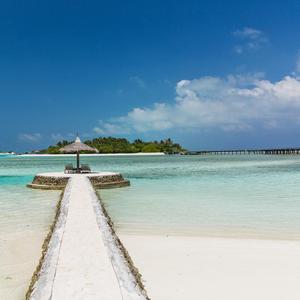 不合同好苟富贵刚刚