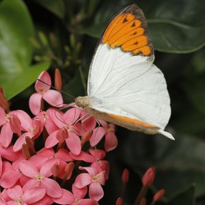 彩云追月——朱良镇老师作品