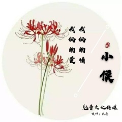 你像花儿一样很美 (弹鼓版)